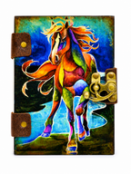 PINN Multicolor Horse Nbk