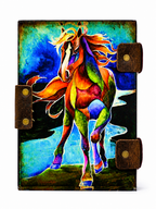 PINN Multicolor Horse Nbk
