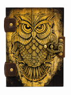 PINN Owl nbk
