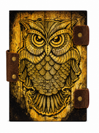 PINN Owl nbk
