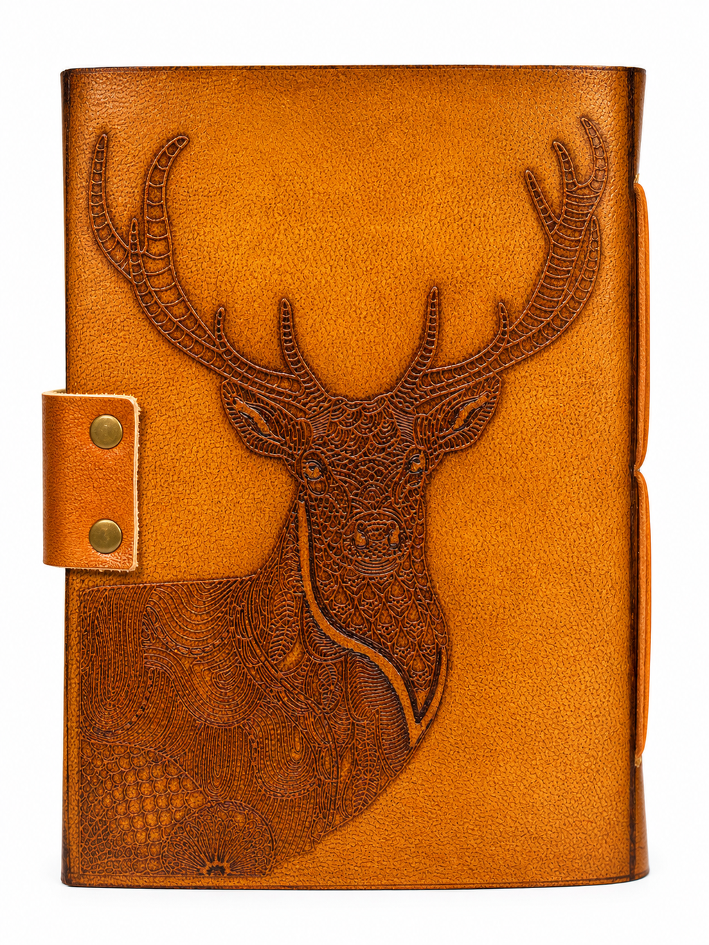 PINN DEER B NBK