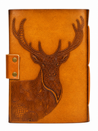 PINN DEER B NBK