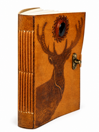 PINN DEER B NBK