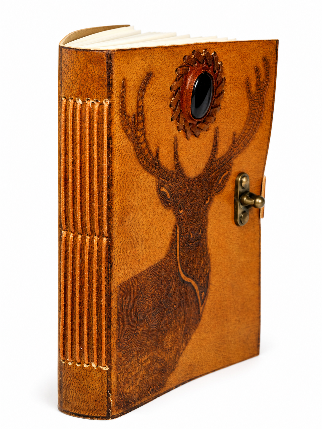 PINN DEER B NBK