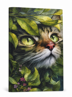 Meow Cat