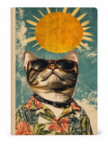 Cat Sunglasses