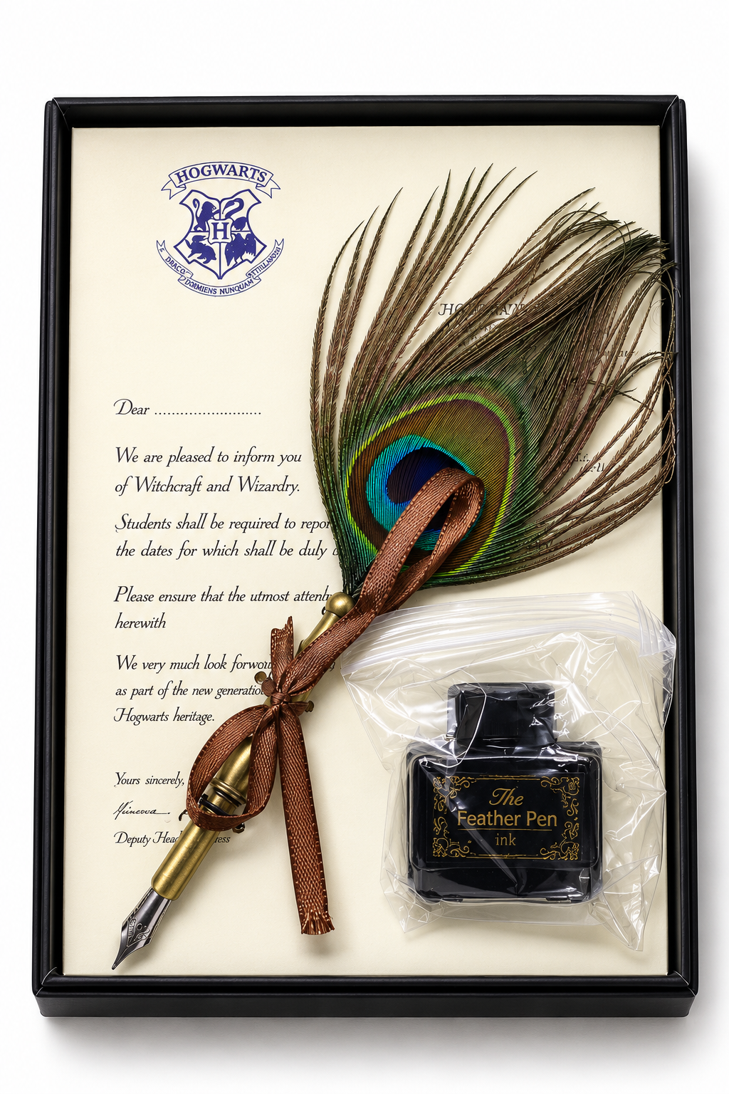 Morpankh Traditional Pen & Ink Set
